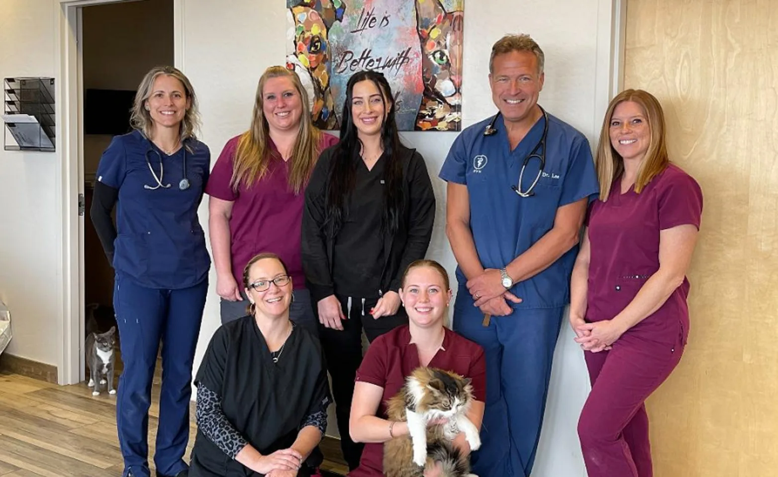 Team Photo of Animal Medical Center of Deer Valley's Staff Members